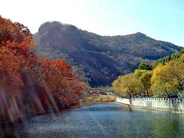 正新澳门二四六天天彩，茅山鬼道